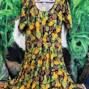 LuLaRoe Nicole Dress 2XL